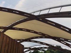 -怀托摩萤火虫洞