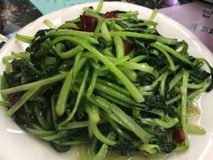 -泸沽肴(泸沽湖大洛水村农村信用社旁店)