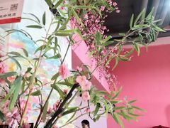 -桃花沅火锅(长嘉汇江景店)