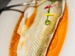 -醉庐·新上海菜(南京西路店)