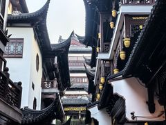 -豫园