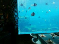-瑞德姆美人鱼海底演艺主题餐厅(亚龙湾店)