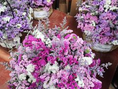 -昆明国际花卉拍卖交易中心