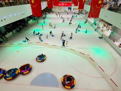 -TheRink大零溜冰场(IFS国金中心店)
