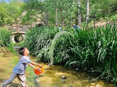 -白水寺森林公园
