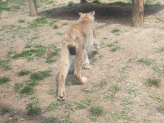 -石家庄市动物园