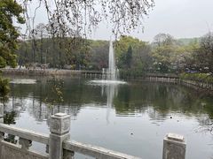 -武汉大学-樱园