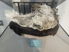 -房山世界地质公园博物馆