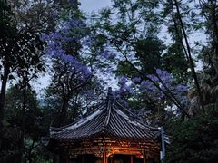 -成都市文化公园