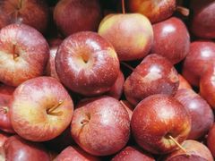 -王婆炒鱼(总店)