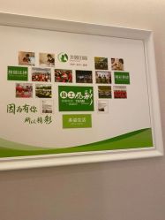 -美丽田园