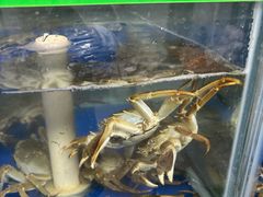 -阳澄湖大闸蟹·琼灵阁牌品牌连锁(吴中总店)