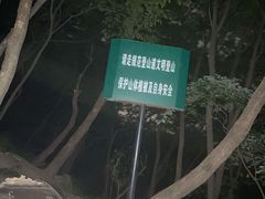 -紫金山山顶公园