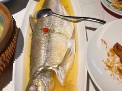 鸡汁白水鱼-伙靠·江浙菜(田林路店)