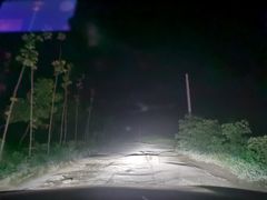 -五七小李子油焖大虾(总店)