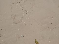 -马奴干岛