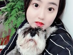 -特一安24小时宠物医院·骨科·中兽医