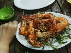 -Bờ kè Nhật Thi
