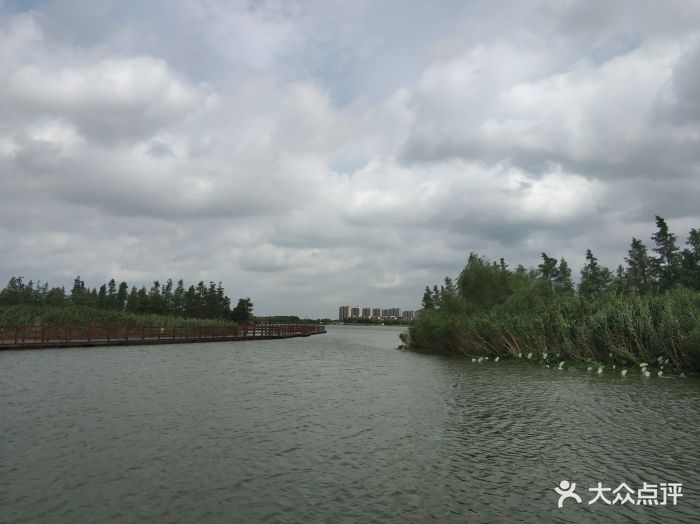 虎丘溼地公園-圖片-蘇州周邊遊-大眾點評網