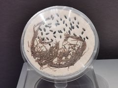 -河姆渡遗址博物馆