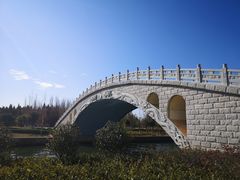 -五甲塘生态湿地公园