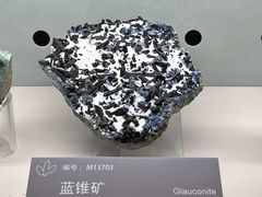 -中国地质博物馆