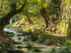 -东天目山风景区