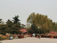 -燕郊植物园