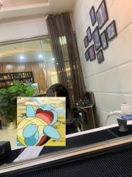 -阿玛仕