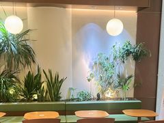 -奈雪的茶(石家庄万象城店)
