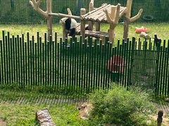 -沈阳森林动物园