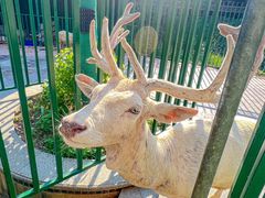 -海合安武汉极地海洋公园