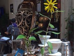 -阿什卡咖啡馆ESSCA COFFEE(塔里木石油宾馆店)