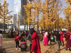 -百林公园-两江幸福广场