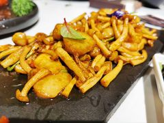 -荟廷·晶萃(陆家嘴尚悦湾店)