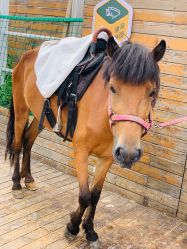 -小蜜蜂农场(凯德七宝购物广场店)