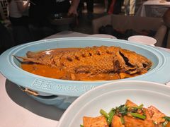 红烧黄河鲤鱼-阿五黄河大鲤鱼(纬三路店)