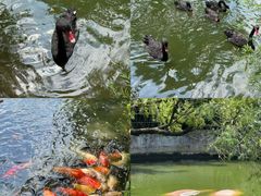 -深圳野生动物园