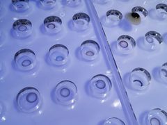 -miomi米欧米隐形眼镜(领展购物广场·中关村店)