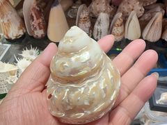 -解放路步行街