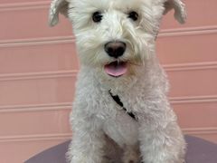 -FAELING PETS美天灵宠物(合生汇店)