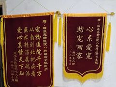 -瑞派宠物医院·内科·软组织·绝育中心(沈阳八纬路分院)