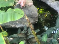 -北京植物园-展览温室