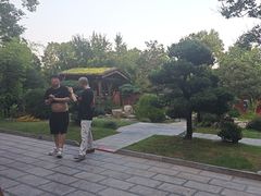 -绿色菜园·农家土菜(贤山店)