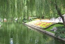 景点-菖蒲河公园