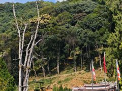 -灵光寺