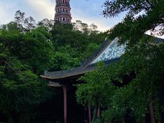 -顺峰山公园