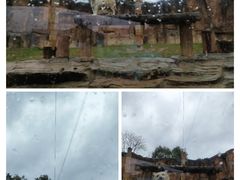 -杭州野生动物世界