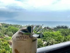 -海南清水湾莱佛士酒店