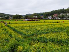-红山村